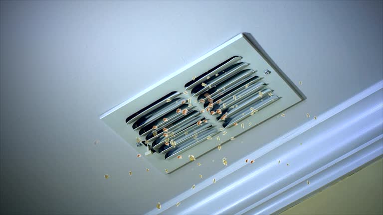 Best Air Duct Cleaning Company Near Me  in Moscow, ID
